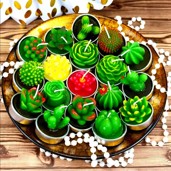 Shop Char’s Other - 🌵Succulent Candle Pack